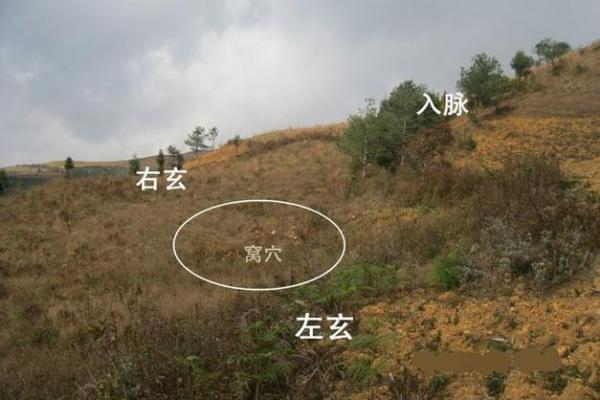 风水乳穴的象征意义与解读 风水乳穴的象征意义与解读