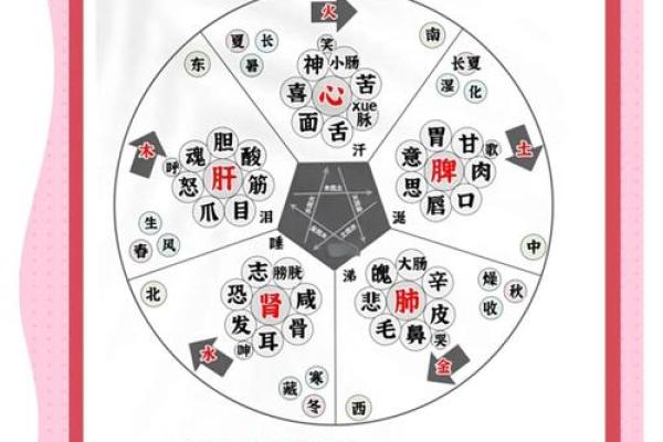 雅宣五行:揭秘五行理论如何提升你的运势与生活品质 雅宣五行:揭秘五行理论如何提升你的运势与生活品质