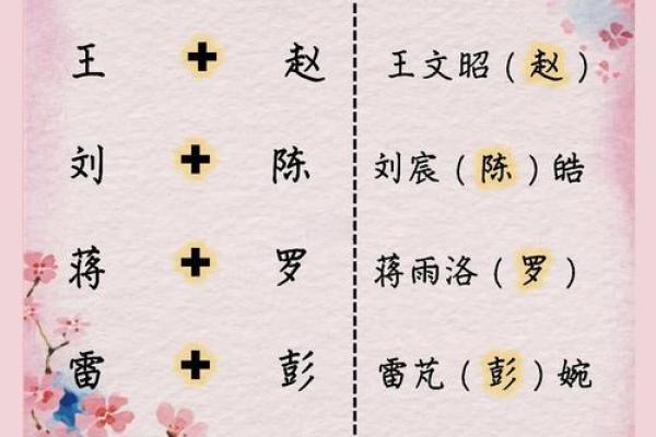 精选鼠宝宝名字大全,带来好运与幸福 精选鼠宝宝名字大全,带来好运与幸福