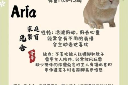 兔子和虎的相配性：优缺点分析