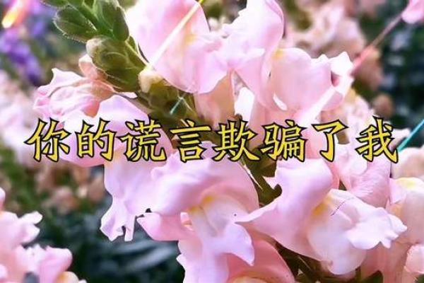 叫我的名字,是深情还是谎言 叫我的名字,是深情还是谎言