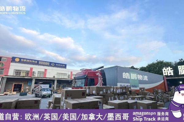 选择带国际元素的公司名称，助力跨境发展