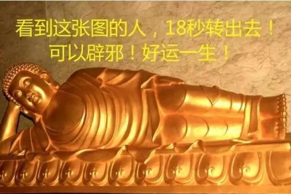 本命年猴男如何在逆境中找到突破口 本命年猴男如何在逆境中找到突破口