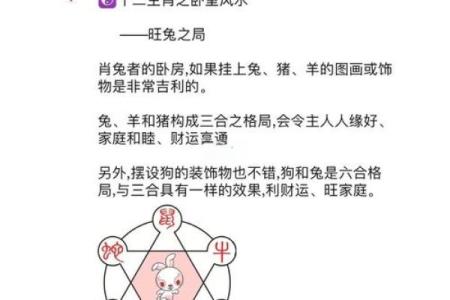 属兔人在羊年每月运势变化解析