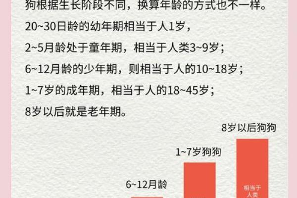 狗男本命年是否适合换工作 狗男本命年是否适合换工作