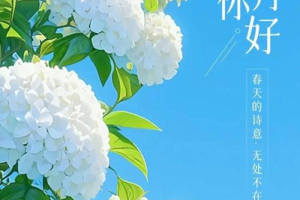 四月芳菲,万年历带你领略春日之美 四月芳菲,万年历带你领略春日之美