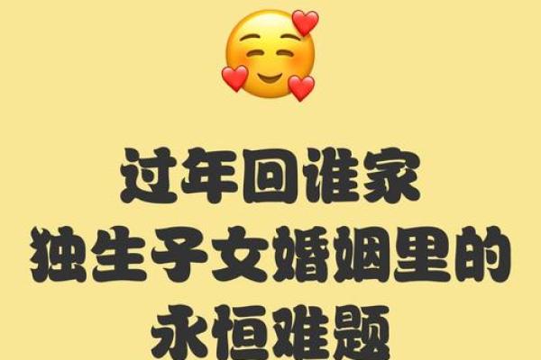 本命年猪男如何面对婚姻难题