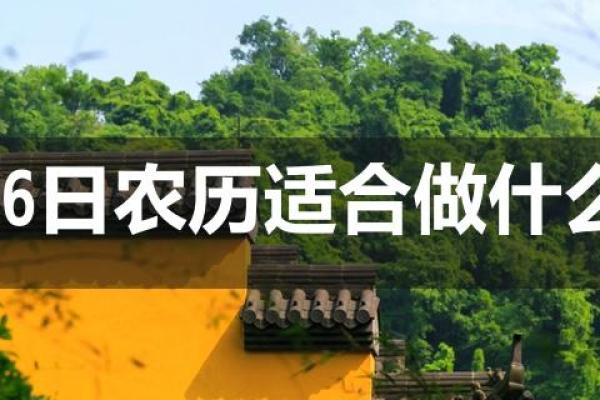 农历出生的人,最适合从事哪些职业 农历出生的人,最适合从事哪些职业