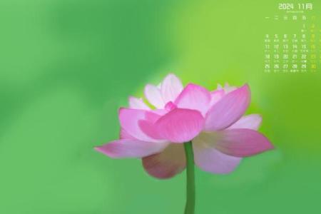 2019吉祥万年历：开年大吉，好运连连