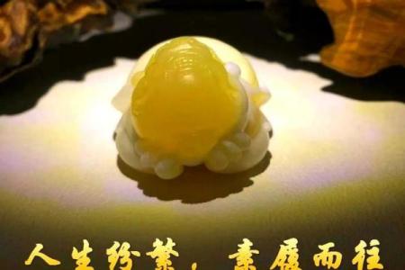 兔女家居风水：如何打造理想居住环境提升运势