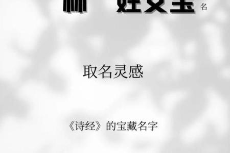 抖音名字怎么取？这些创意灵感不容错过