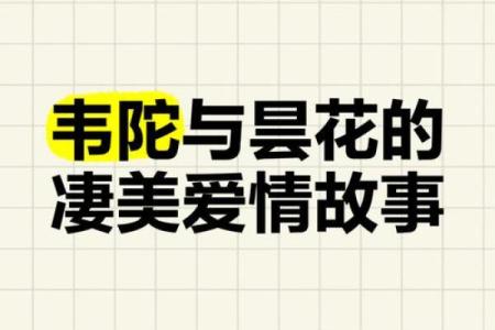 恋爱的名字：一场爱情故事的象征与纪念