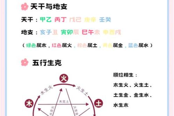 风水入门基础知识：揭开传统学问的神秘面纱