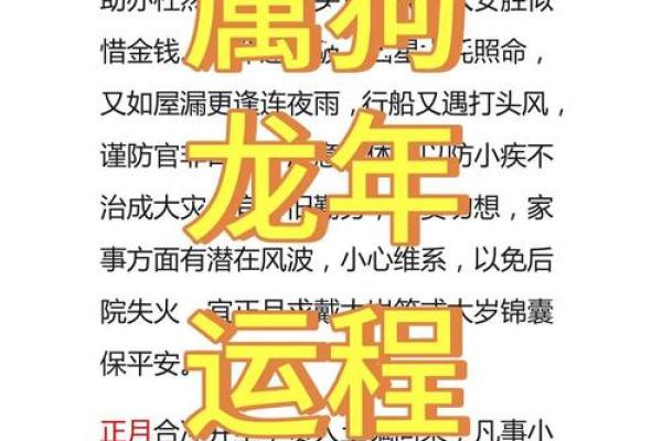 属狗五行分析,揭示你的命运秘密 属狗五行分析,揭示你的命运秘密