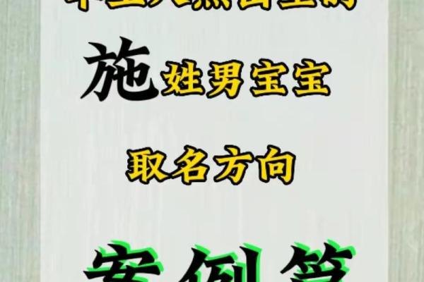 施姓男孩名字精选,展现独特气质 施姓男孩名字精选,展现独特气质