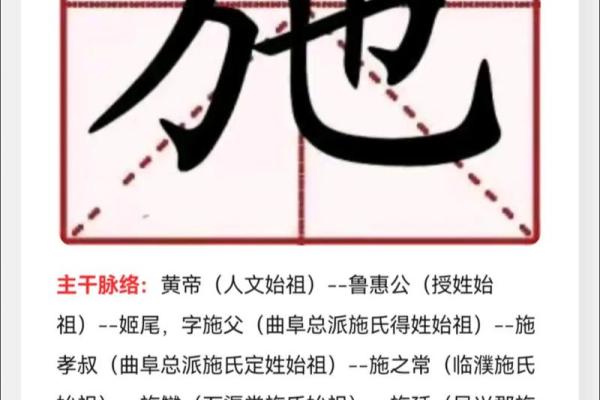 施姓男孩名字精选,展现独特气质 施姓男孩名字精选,展现独特气质