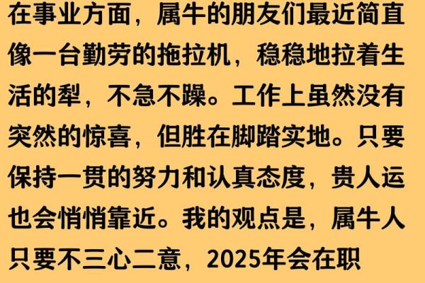 属牛人在如何应对财运挑战