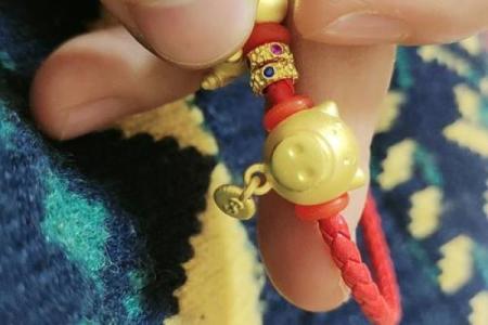 本命年猪男如何避免财务危机