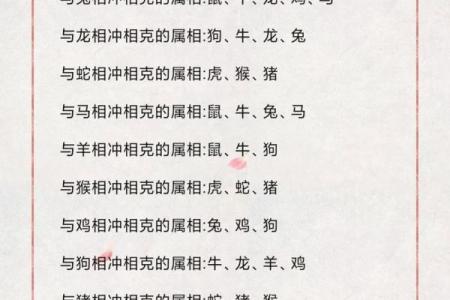 鼠兔相配的奇妙缘分 解锁生肖搭配的神秘力量