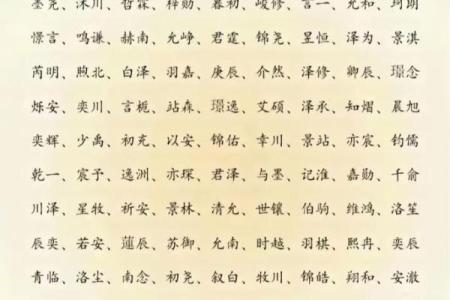 卢宝宝起名攻略：如何挑选最适合的名字