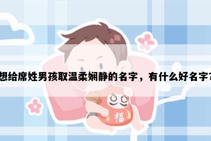 想给席姓男孩取温柔娴静的名字，有什么好名字？